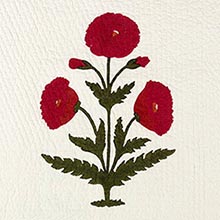 Poppy on White Pique